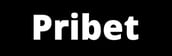 PriBet Casino